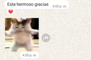 Review de cliente PIXEL FOX